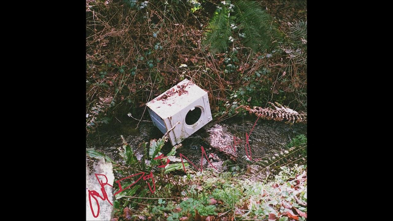 OURDOGISMISSING - Ivy Lab