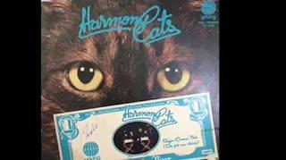 Tem Dinheiro Nisso - Harmony Cats