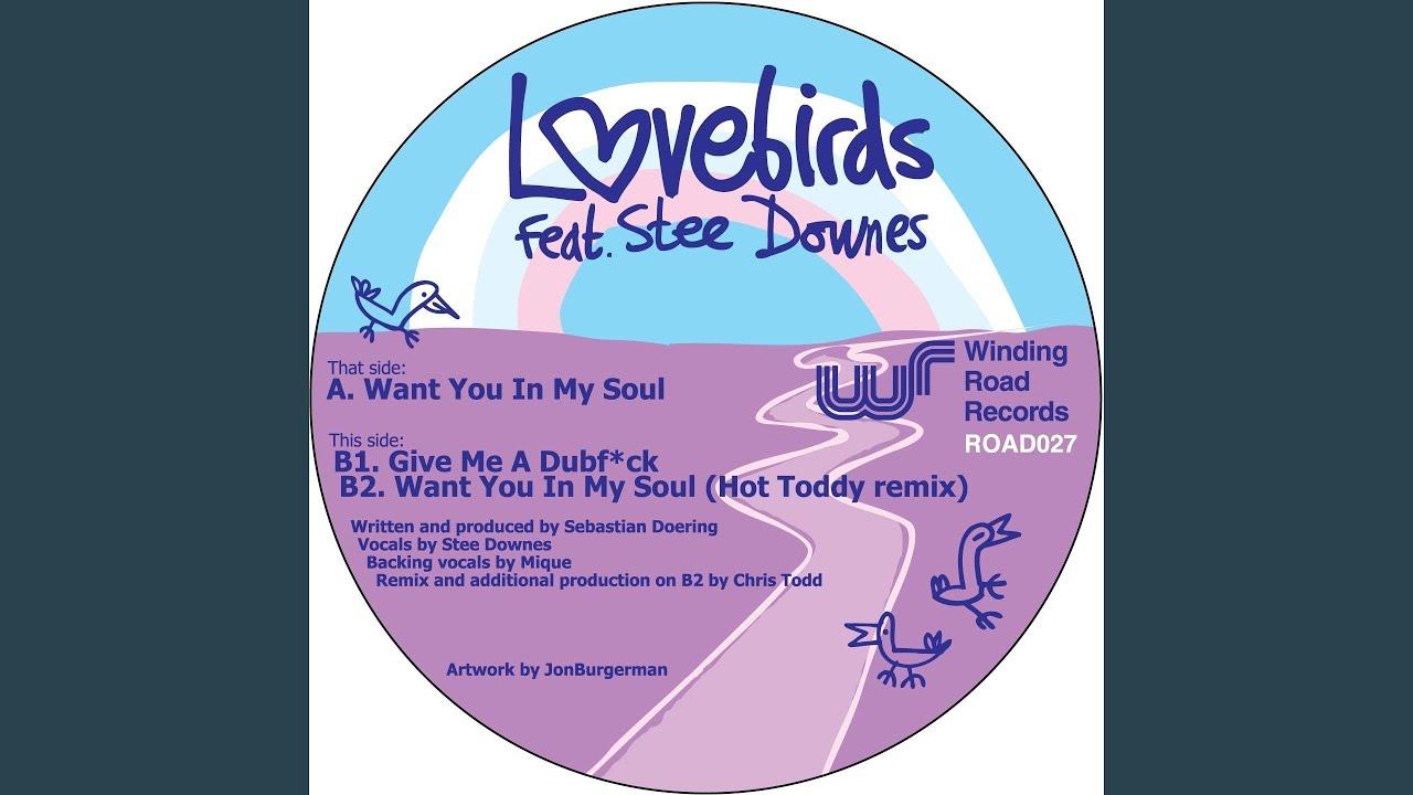 Want You In My Soul - Lovebirds, Stee Downes