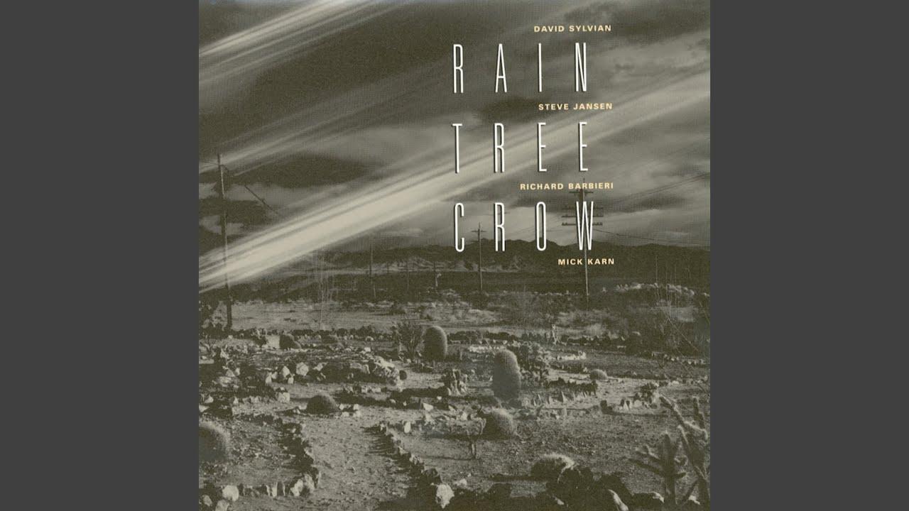 Rain Tree Crow - Rain Tree Crow