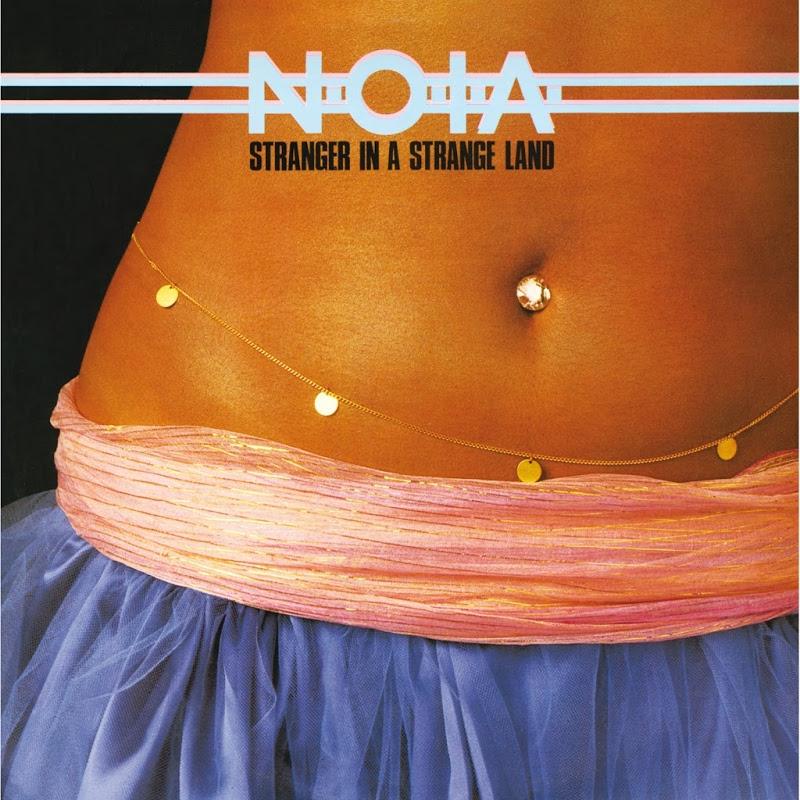 Stranger In A Strange Land - N.O.I.A.