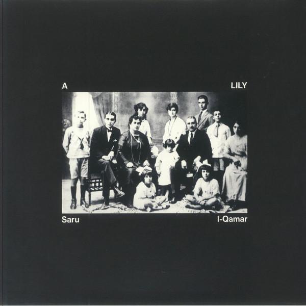 Saru l-Qamar - A Lily