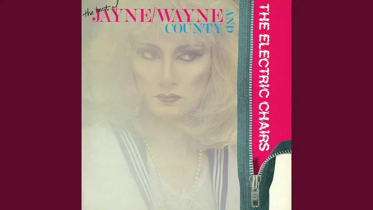 The Safari Years - Wayne County & The Electric Chairs