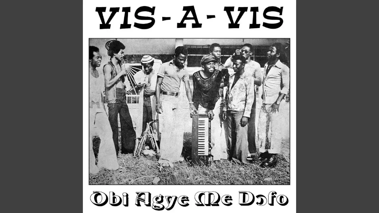 The Danque!! A Compilation Of West African Funk - Vis-A-Vis