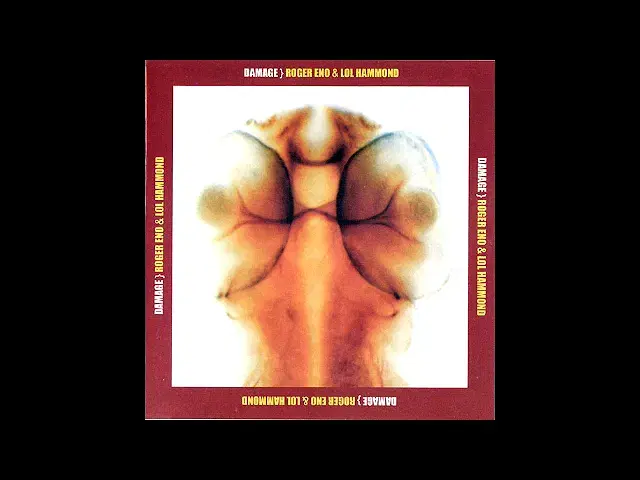 Damage - Roger Eno & Lol Hammond