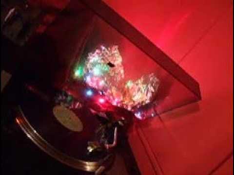 Showcase & Majority Rule - Jimmy Riley