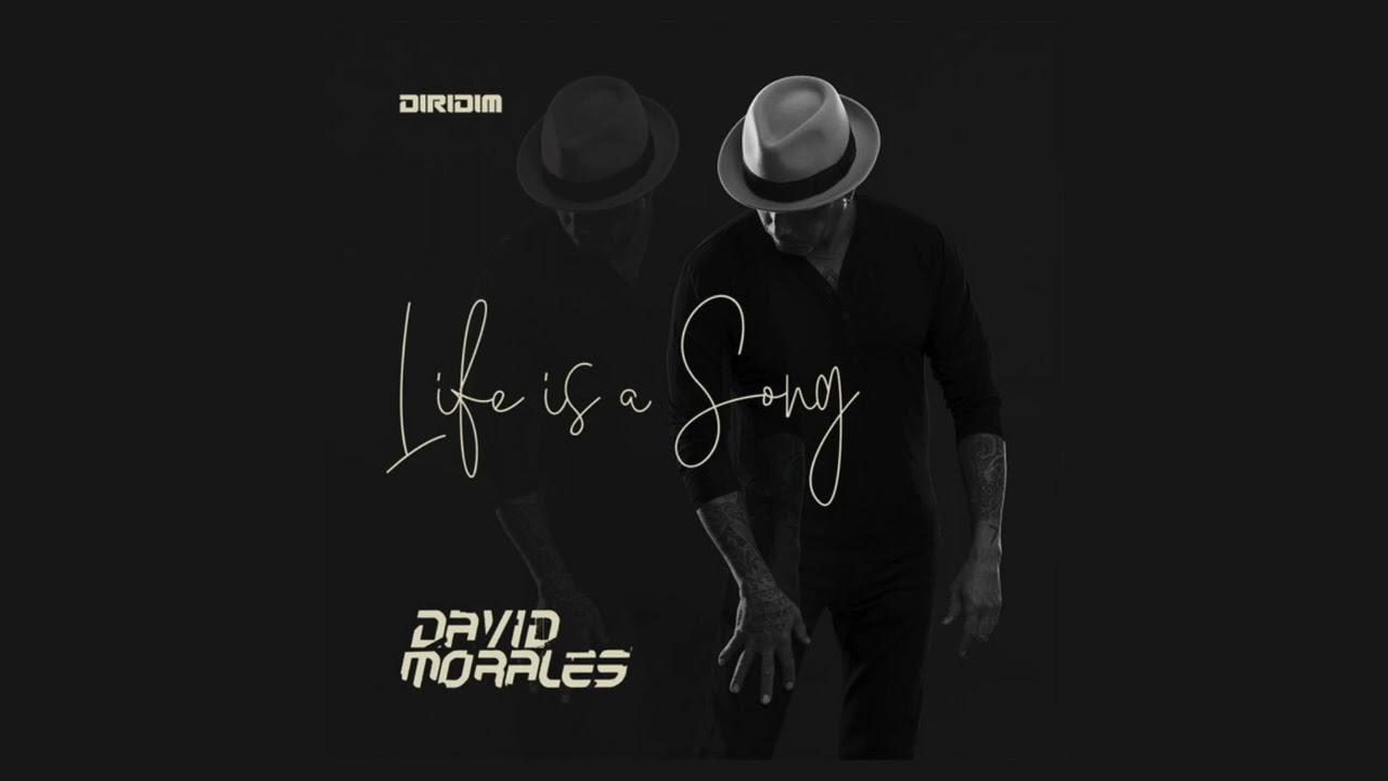  - David Morales, blondewearingblack