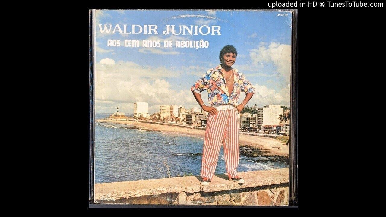 Aos Cem Anos De Abolição - Waldir Junior