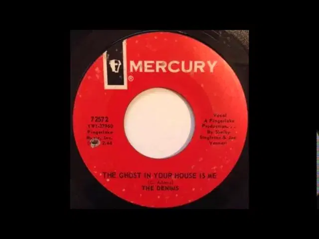 The Ghost In Your House Is Me / I Do Love You Baby - The Denims