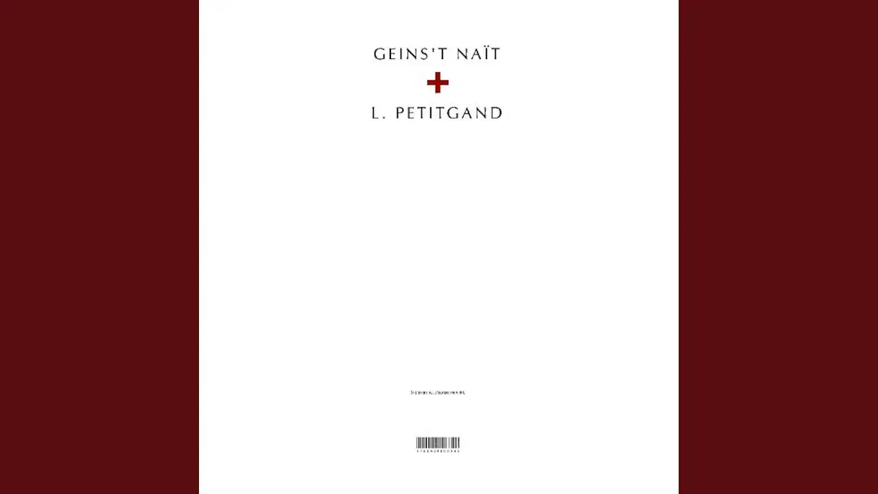 Si J'avais Su, J'aurais Rien Dit - Geins't Naït & Laurent Petitgand
