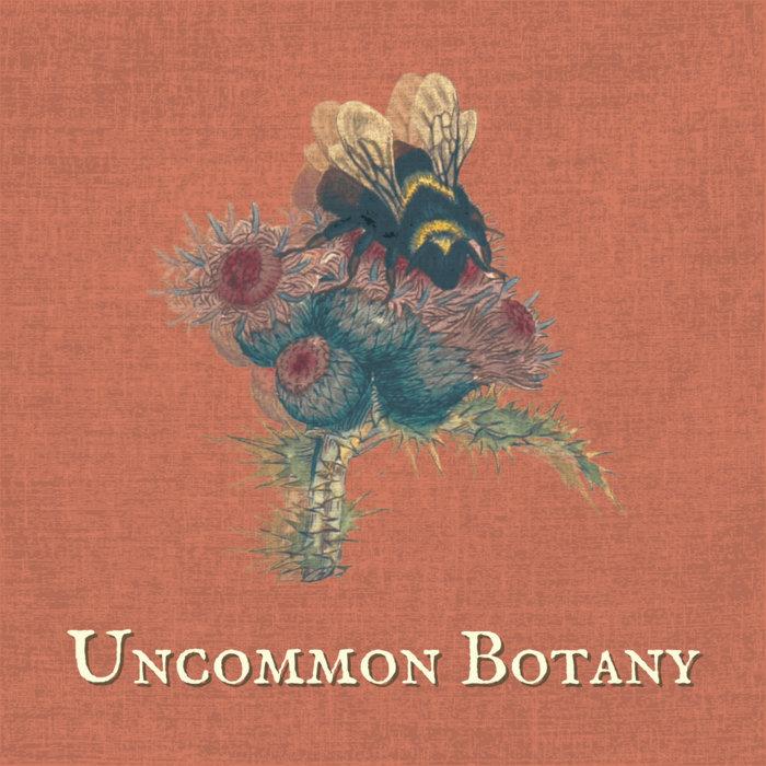 Uncommon Botany - Shire Oak