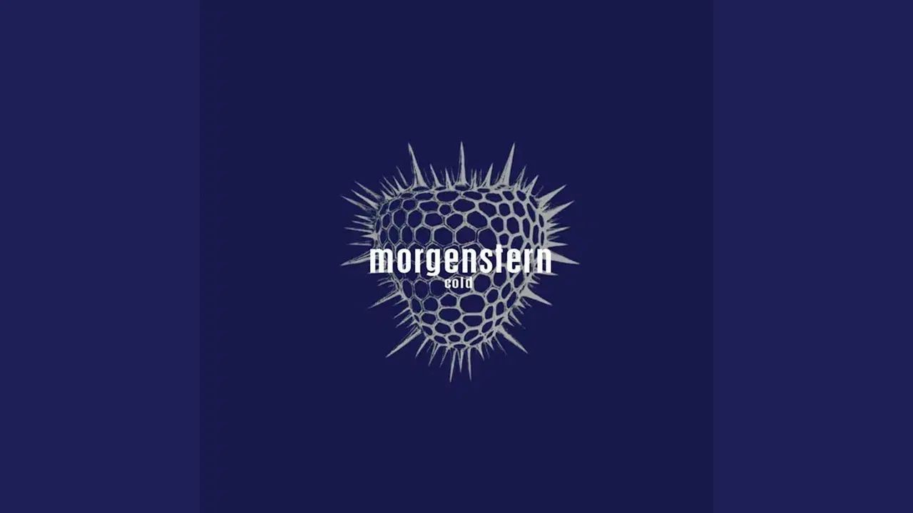 cold - morgenstern