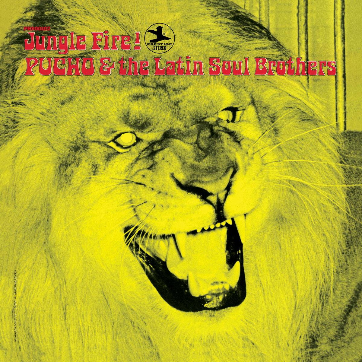 Jungle Fire! - Pucho And The Latin Soul Brothers