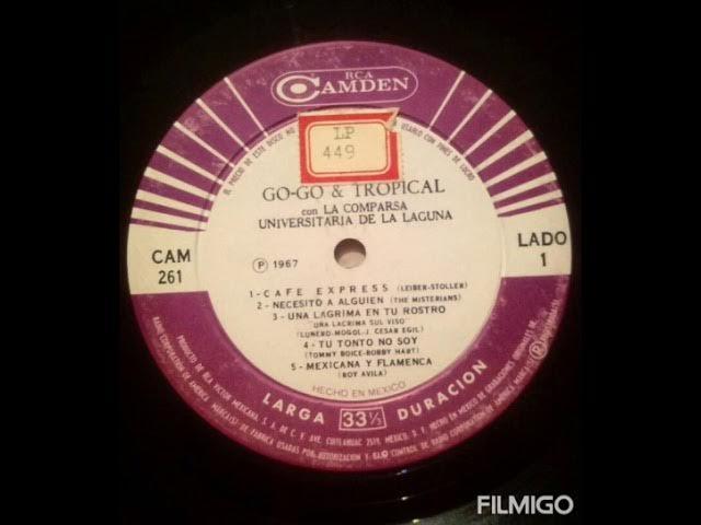 Go-Go & Tropical  - Comparsa Universitaria