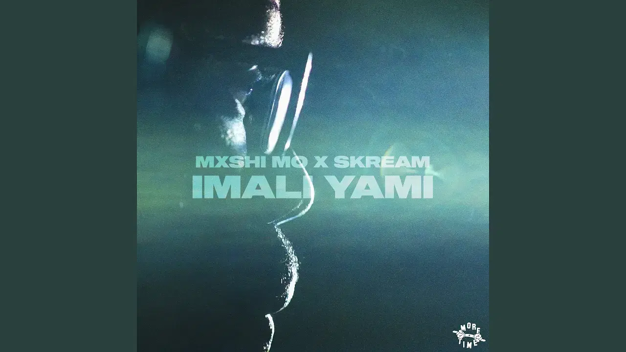 Imali Yami  - Mxshi Mo & Skream