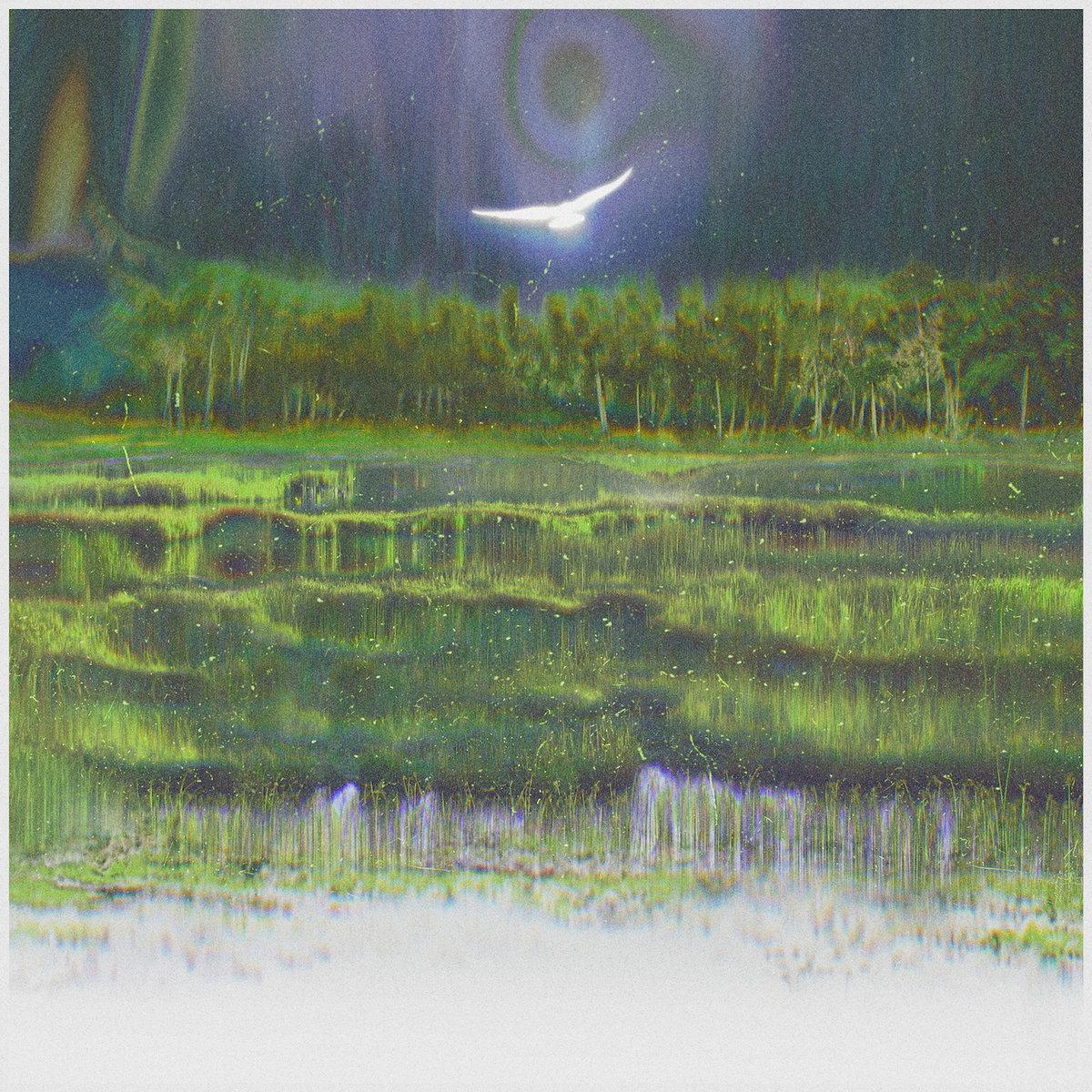 MANGROVES: Wet Meadow - somethingmaker