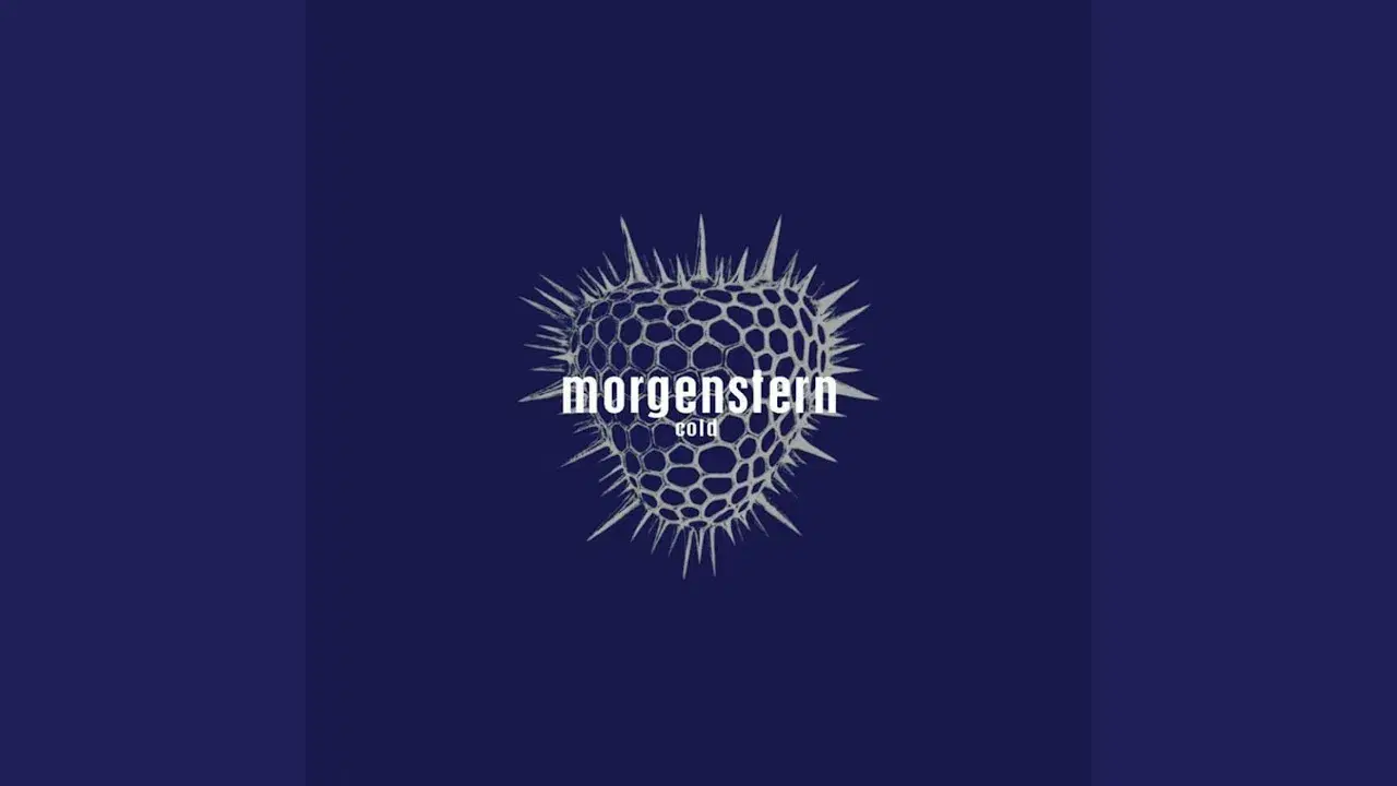 cold - morgenstern