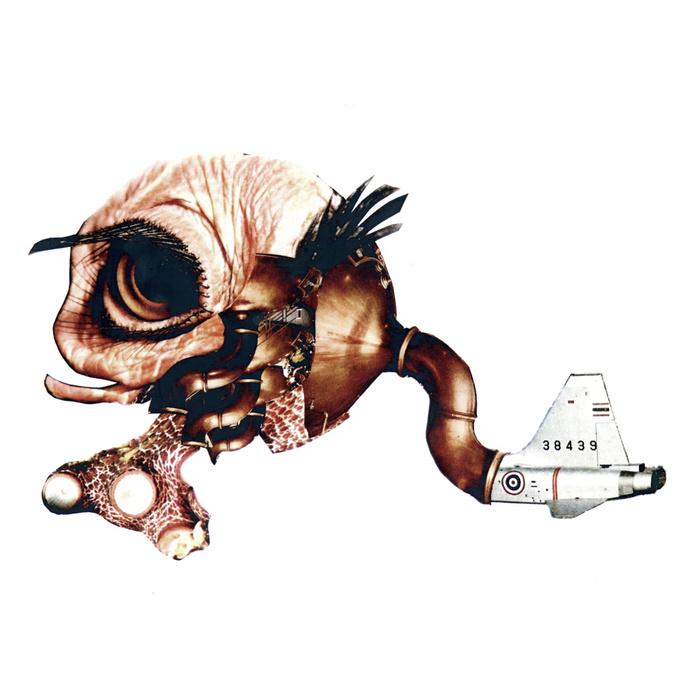 Ruffini Corpuscle - Garry Bradbury