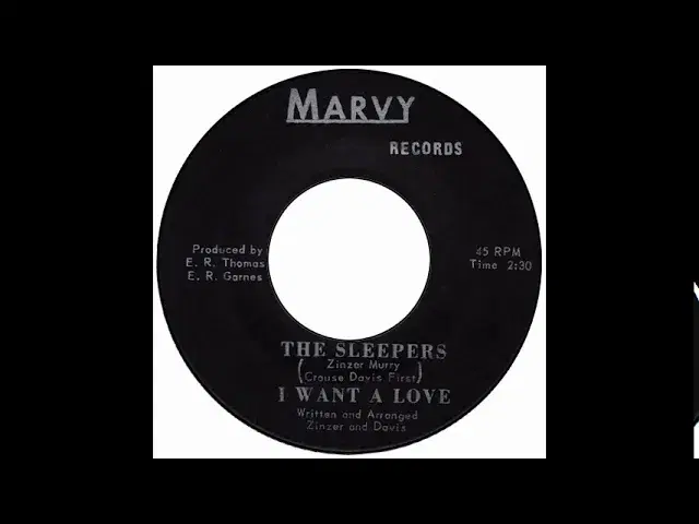 I Want A Love - The Sleepers