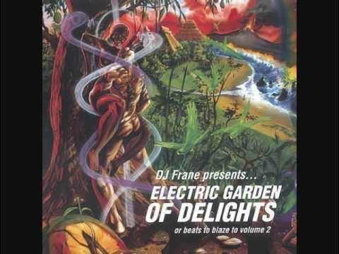 Electric garden of delights - DJ Frane