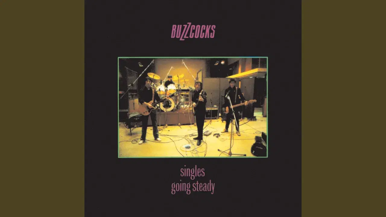 I Don't Mind the Buzzcocks - The Buzzcocks