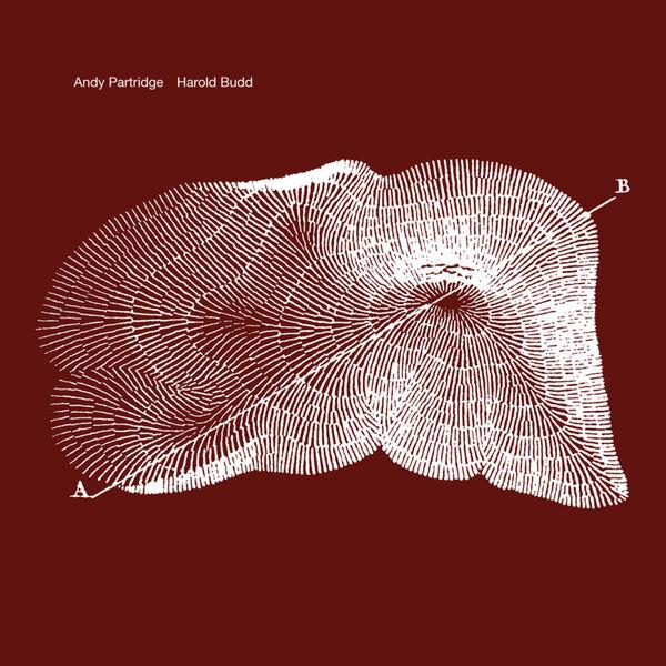 Through The Hill - Andy Partridge