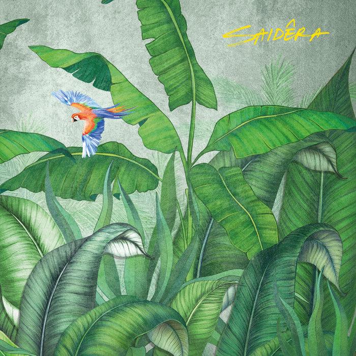 Luzes Da Cidade - Saidêra