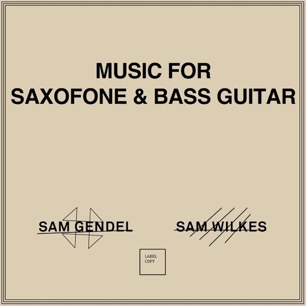 Music for Saxofone & Bass Guitar - Sam Gendel & Sam Wilkes
