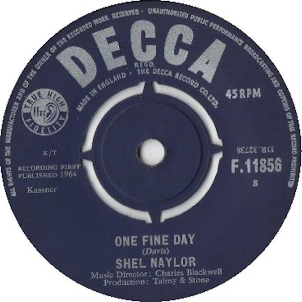 One Fine Day - Shel Naylor
