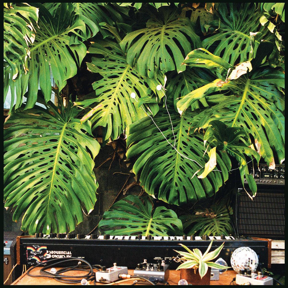 Plant Music Vol 1 -Shirley Shirley Shirley! - Nico Georis