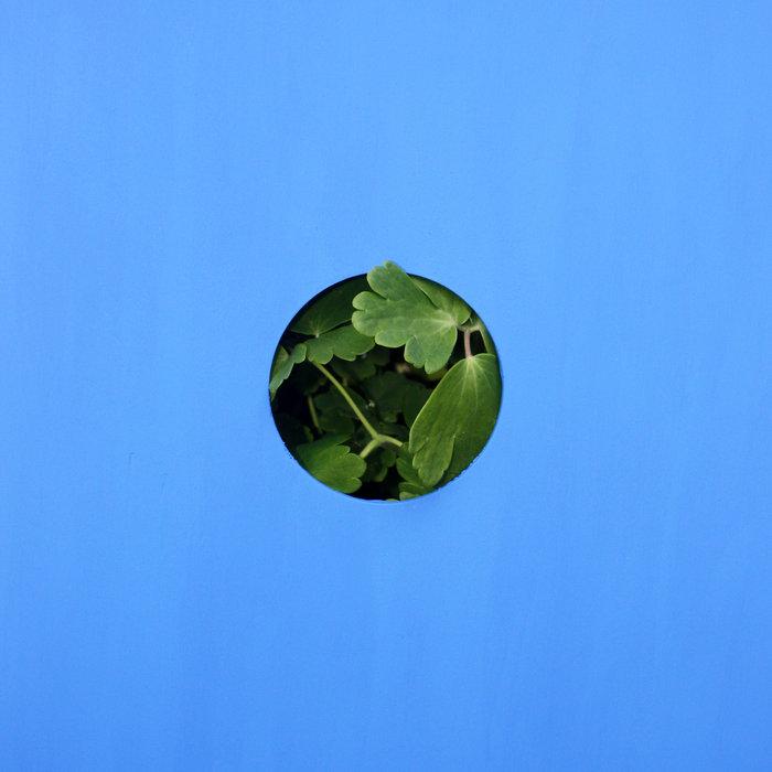 Moving - Blue Lake
