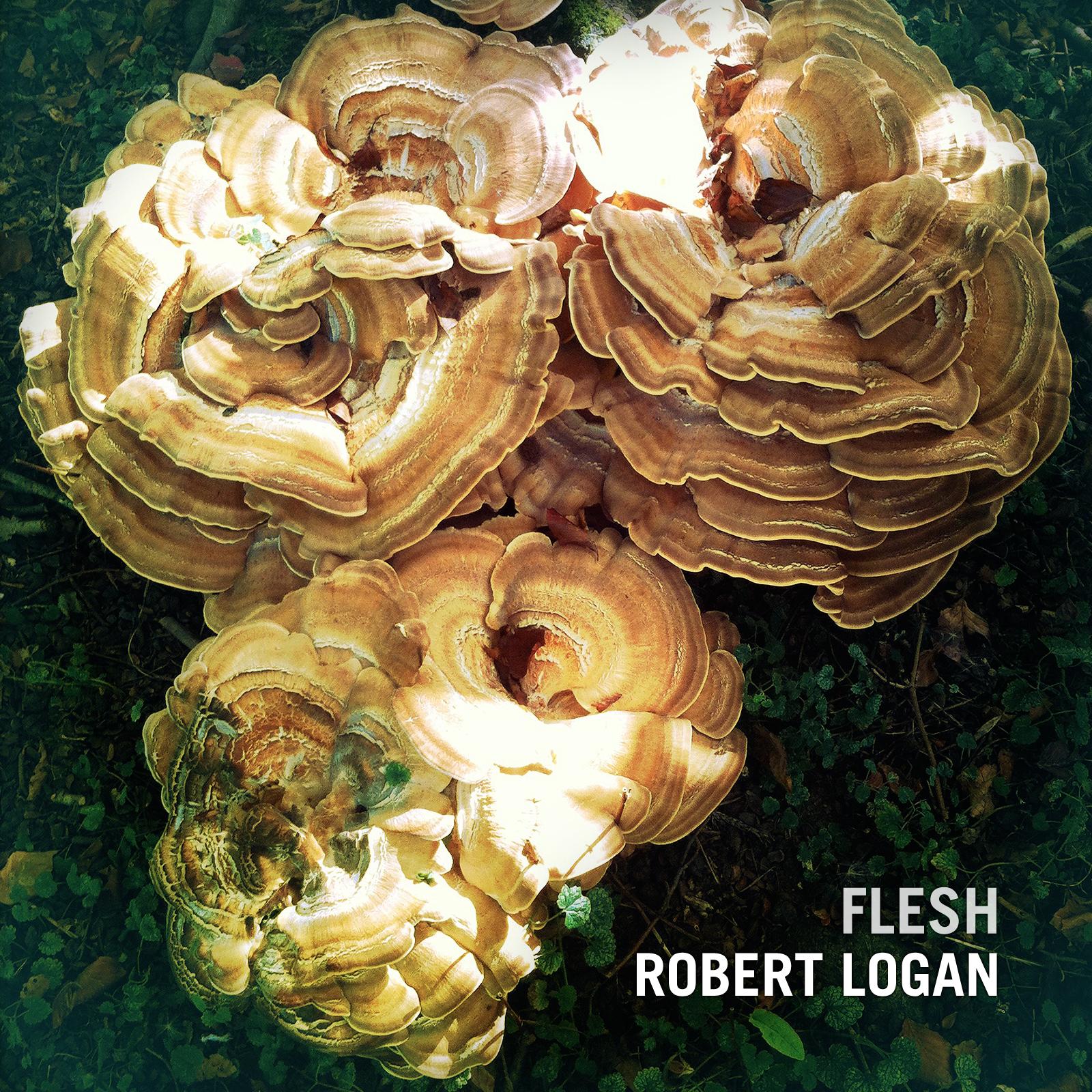 Flesh - Robert Logan