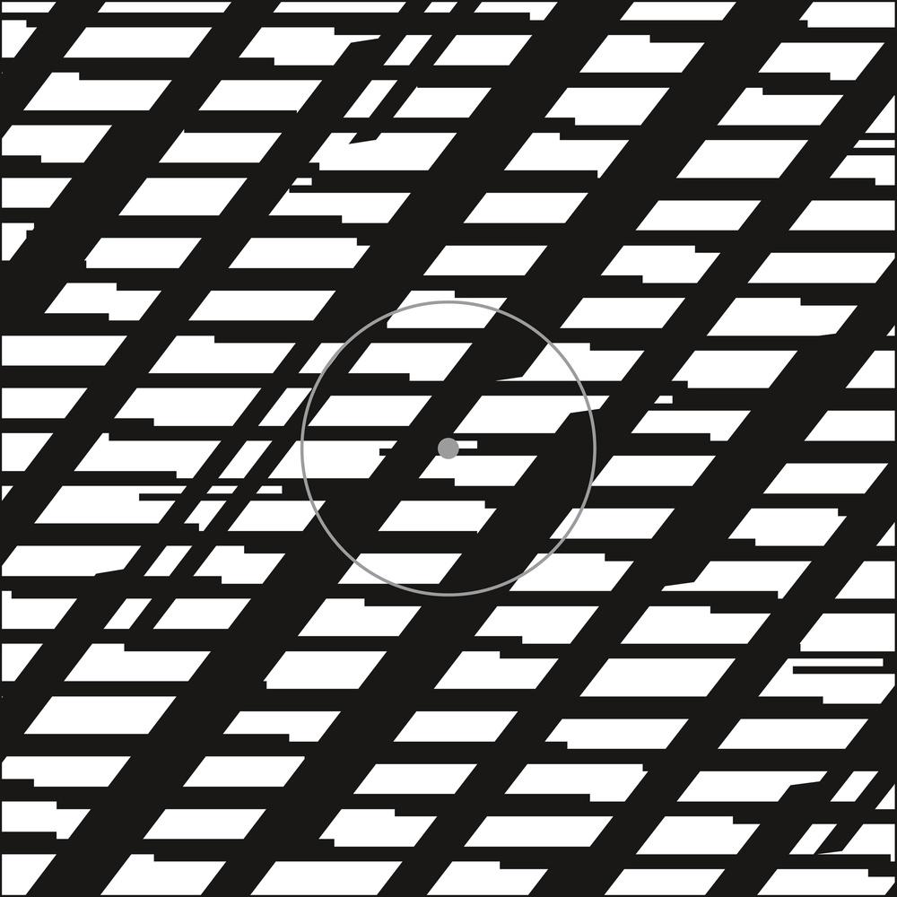 Perplexed - Zakmina
