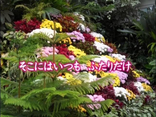 布施明デラックス-愛の園- - 布施明