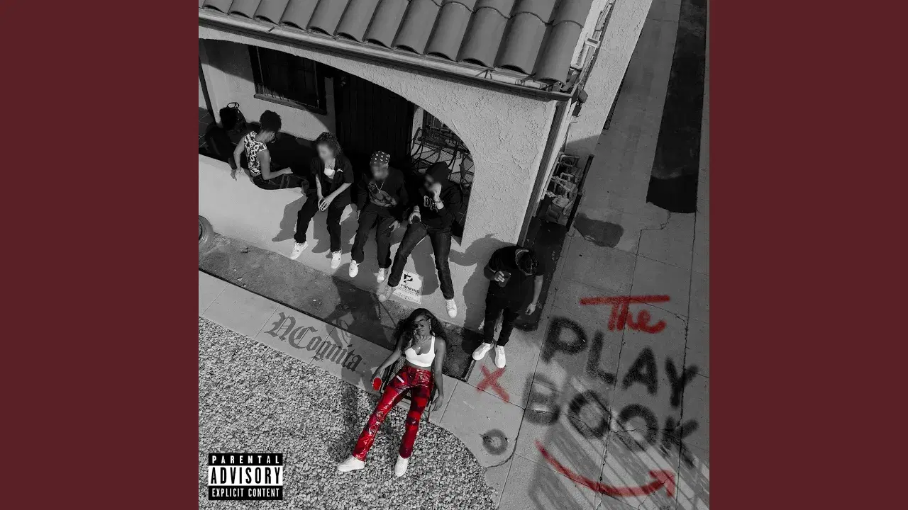 The Play Book - Ncognita