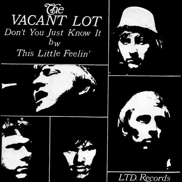 Don't You Just Know It / This Little Feelin' - The Vacant Lot