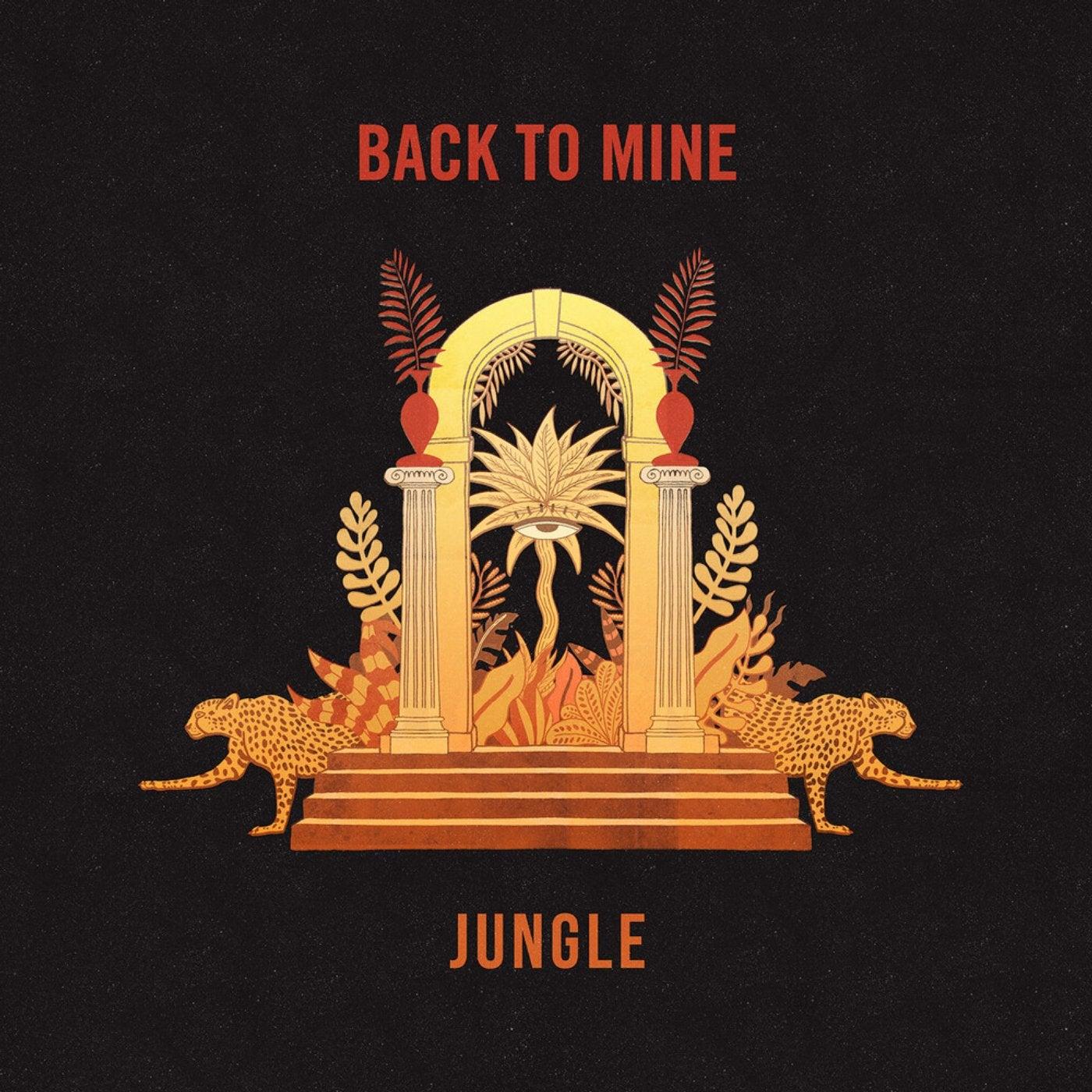 Back to Mine: Jungle - The Flying Stars Of Brooklyn NY
