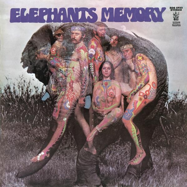 Jungle Gym At The Zoo  - Elephant's Memory