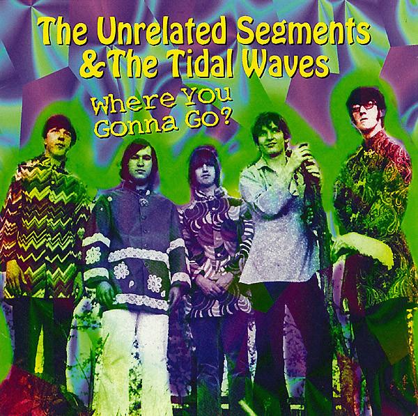 Where You Gonna Go? - The Tidal Waves