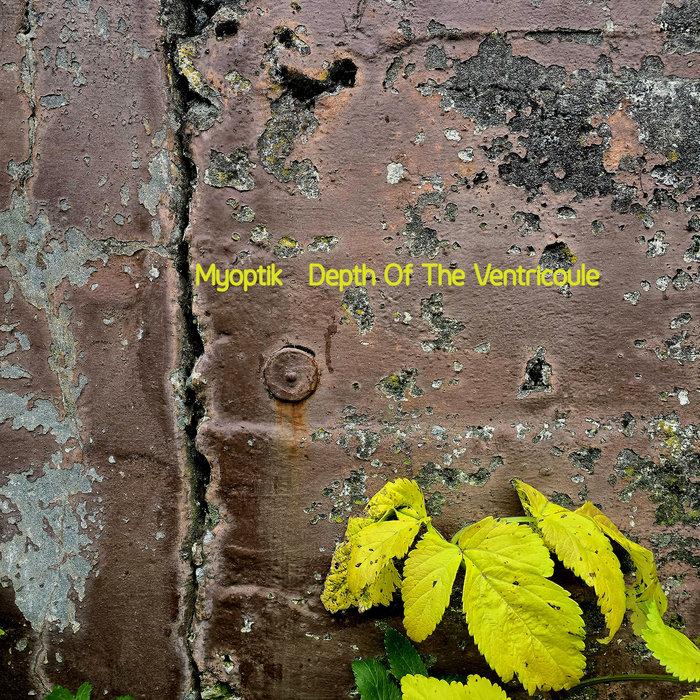 Depth Of The Ventricoule - Myoptik