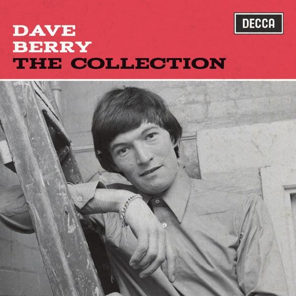 Do I Still Figure In Your Life - Dave Berry