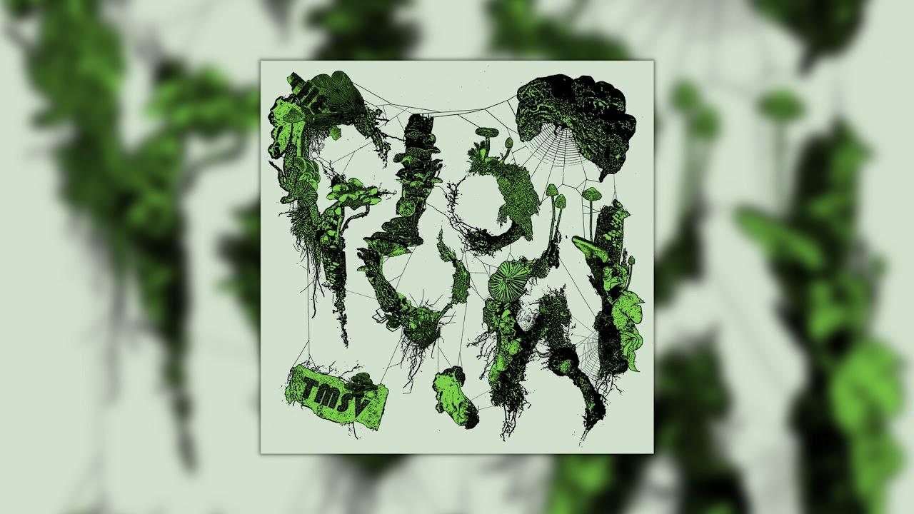 The Glow - TMSV