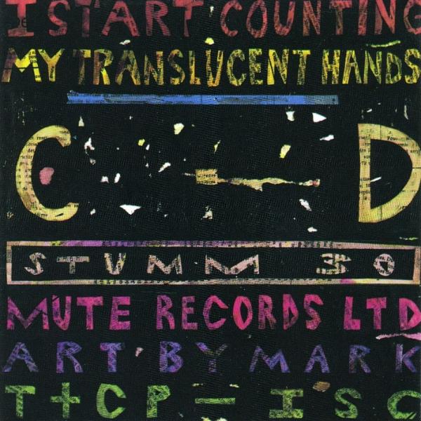 My Translucent Hands No II - I Start Counting