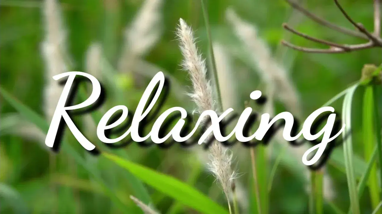  - Nature Meditations