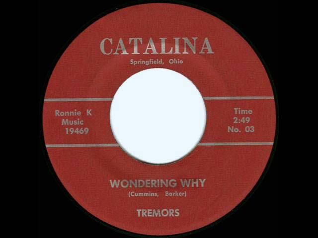 Wondering Why / What Have I Done - The Tremors