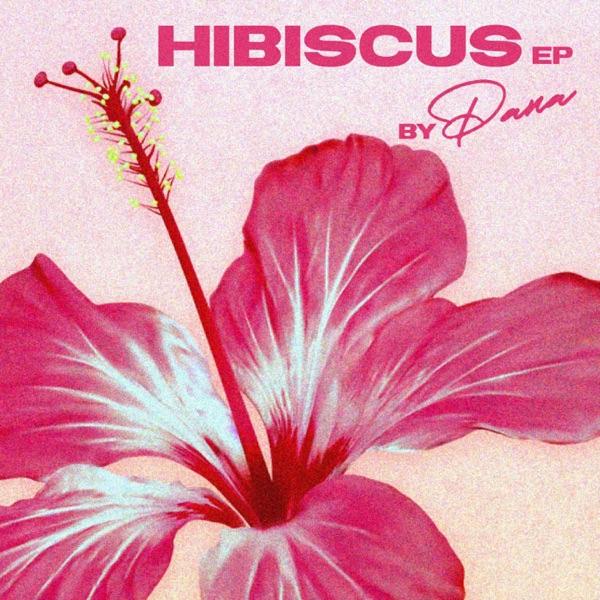 Hibiscus - Pana
