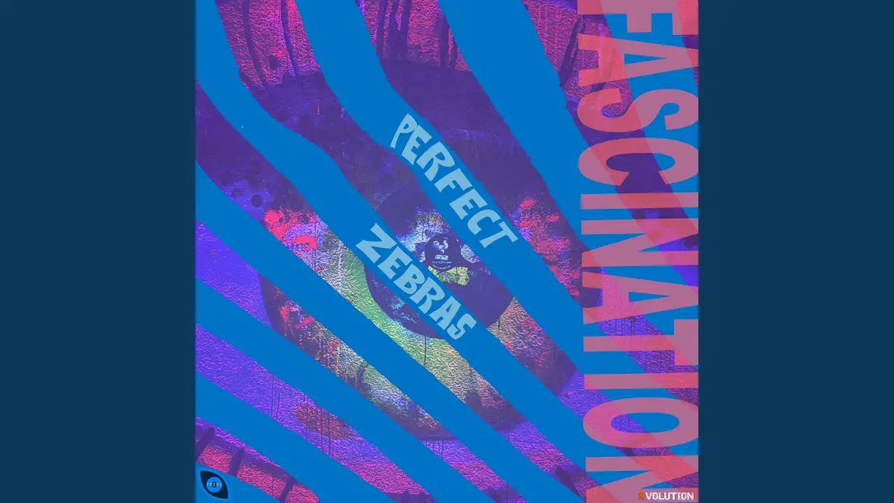 Zebra - Perfect Zebras