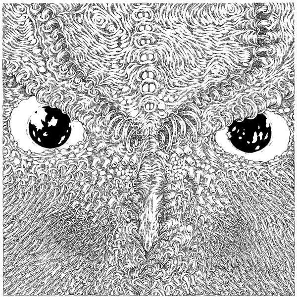 Conspiracy of Owls - Conspiracy of Owls