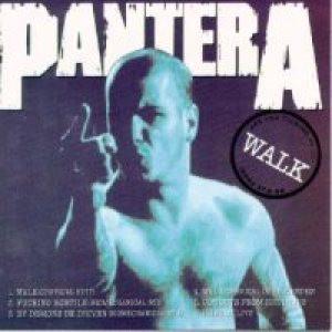 Vulgar Display of Power - Pantera