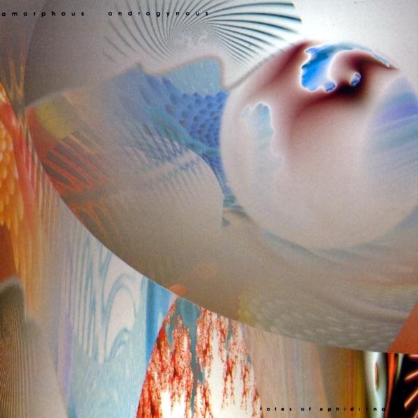 Liquid Insects - Amorphous Androgynous